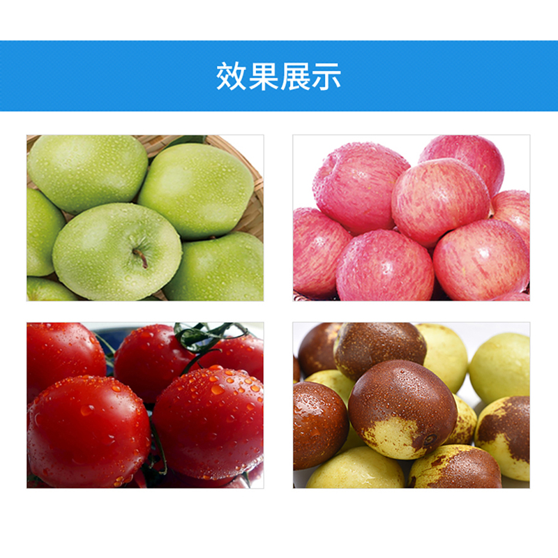 央厨网-TY-800A 蔬果清洗机