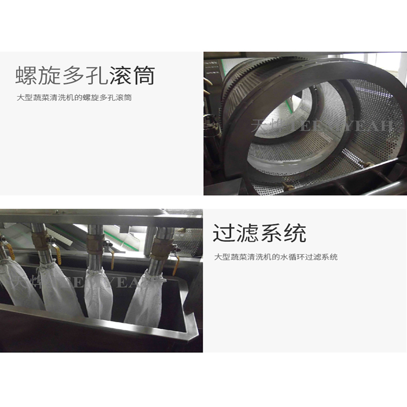 央厨网-TW-506L 大型蔬菜清洗机