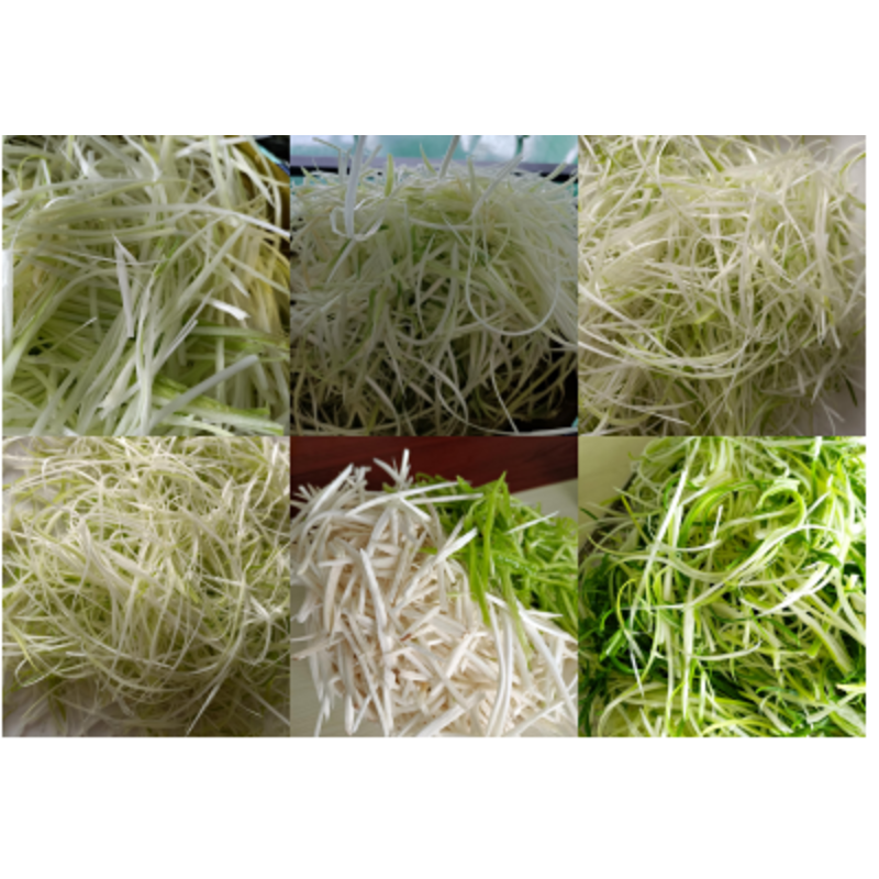 央厨网-葱丝机XC-188B